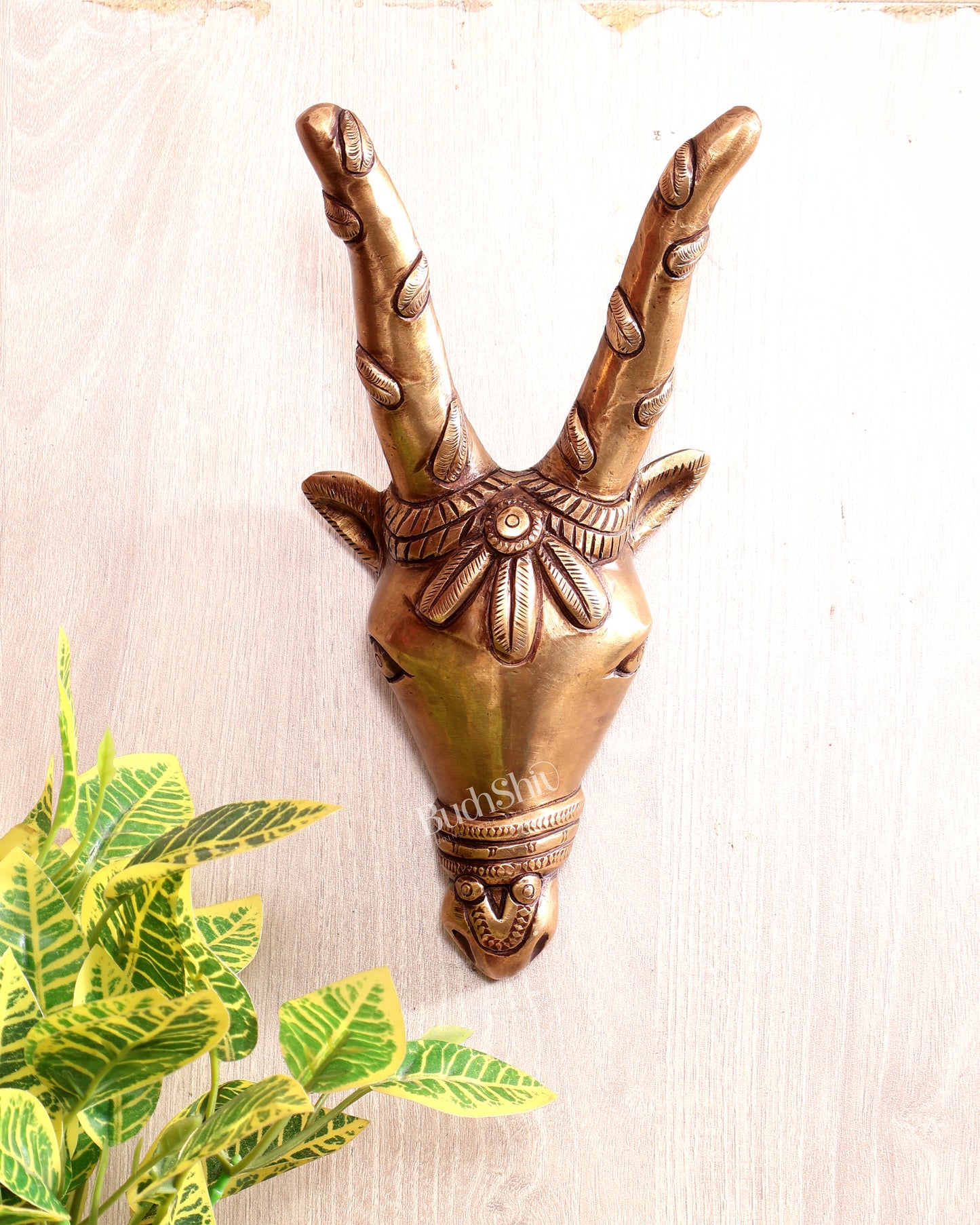 Majestic Brass Cow Face Wall Hanging 9.5 inch