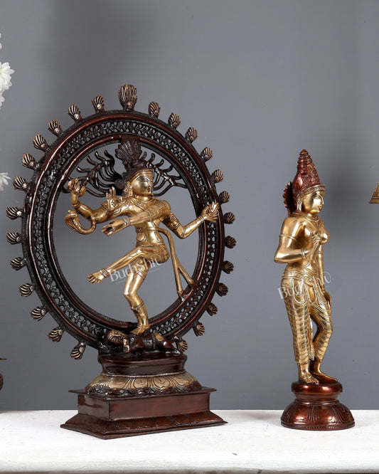 Brass Lord Shiva & Sivagami Parvati Utsava Murti Pair – Dual Tone Divine Sculpture Set 22 inch