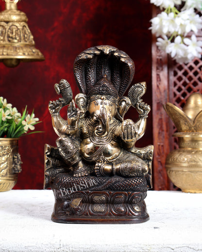 Unique Brass Lord Ganesha with Naag – Dual Tone Brown Gold Finish 8.6 inch