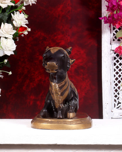 Pure Brass Vintage Nandi Statue – black tone 12.5 inch