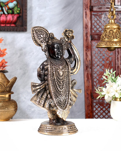 Brass Lord Shrinath Ji Statue | From Nathdwara 13 inch black edition