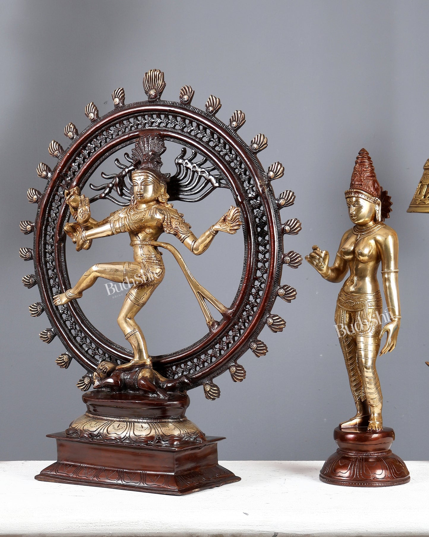 Brass Lord Shiva & Sivagami Parvati Utsava Murti Pair – Dual Tone Divine Sculpture Set 22 inch