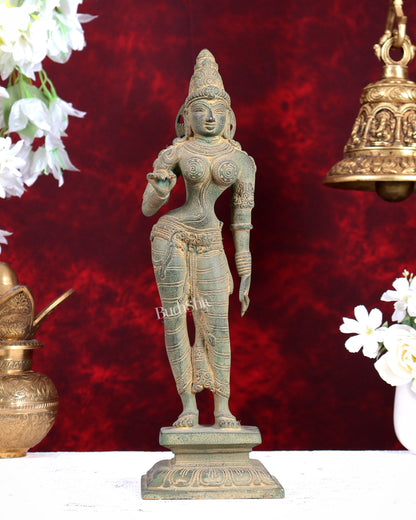 Pure Brass Standing Goddess Uma Parvati Sivagami Sculpture – 13” Stonefinish