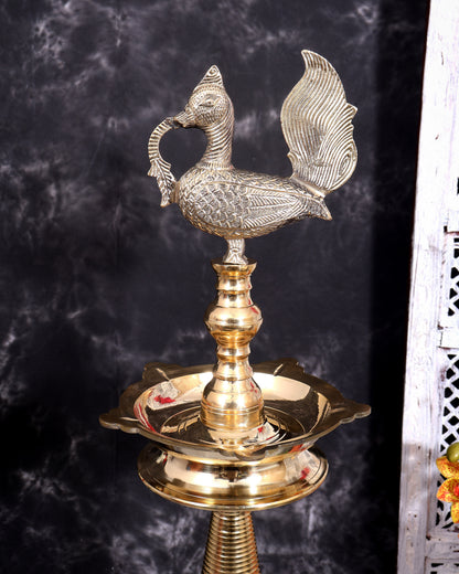 Brass Large Peacock Samai Inauguration Lamp (Pair) 54 inch