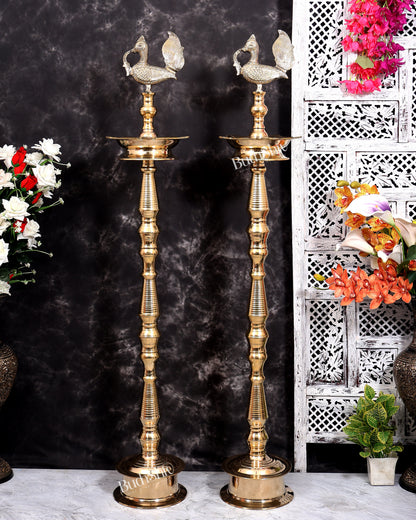Brass Large Peacock Samai Inauguration Lamp (Pair) 54 inch