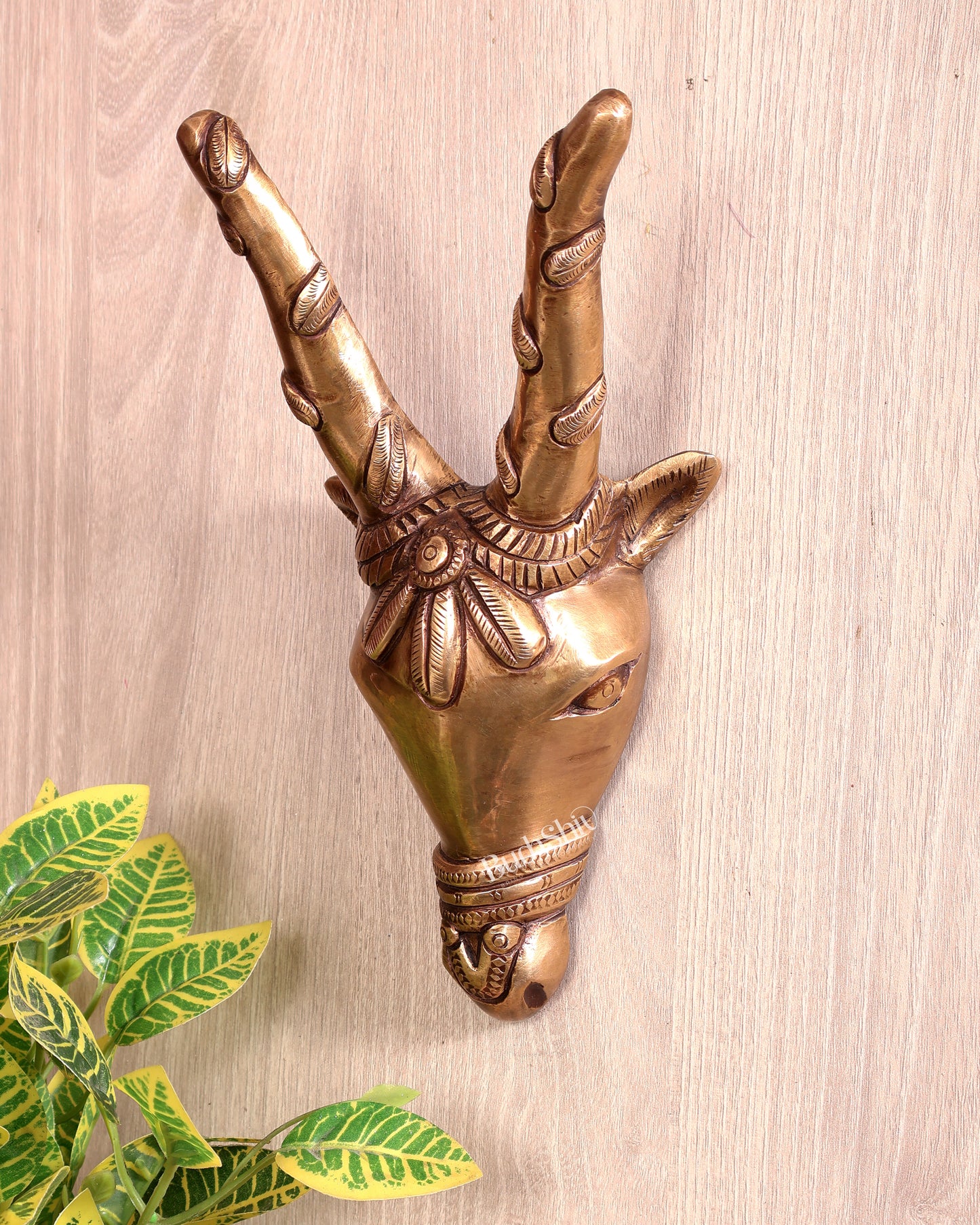 Majestic Brass Cow Face Wall Hanging 9.5 inch