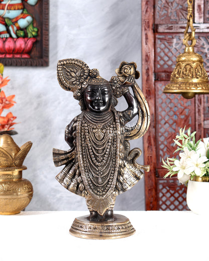 Brass Lord Shrinath Ji Statue | From Nathdwara 13 inch black edition