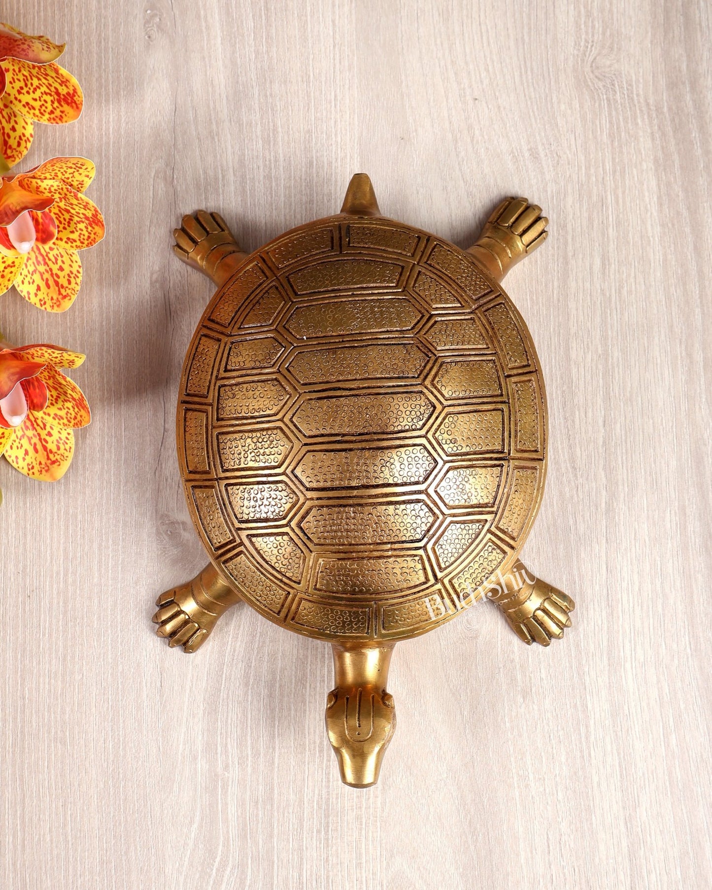 Solid Brass Tortoise – Feng Shui & Vastu Approved Auspicious Décor Piece (10.5 Inches) - Budhshiv.com