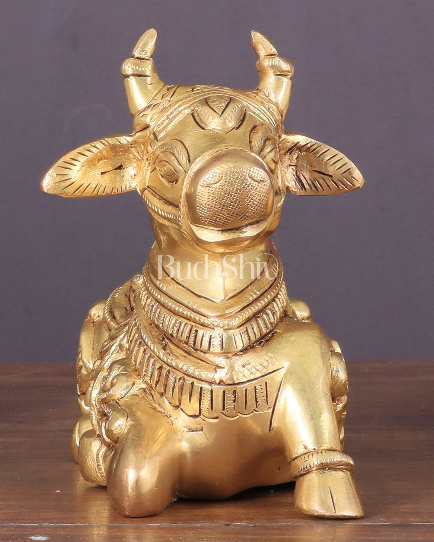 Superfine Brass Nandi engraved 8" wide - Budhshiv.com