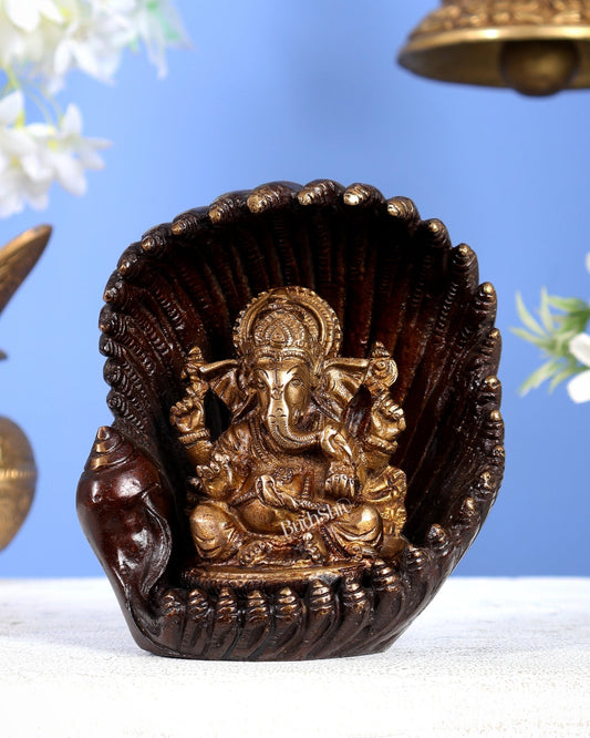 Unique Pure Brass Lord Ganesha in Pearl shankh Conch Shell – 5.5” (14 cm) - Budhshiv.com