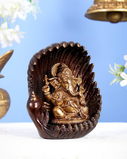Unique Pure Brass Lord Ganesha in Pearl shankh Conch Shell – 5.5” (14 cm) - Budhshiv.com