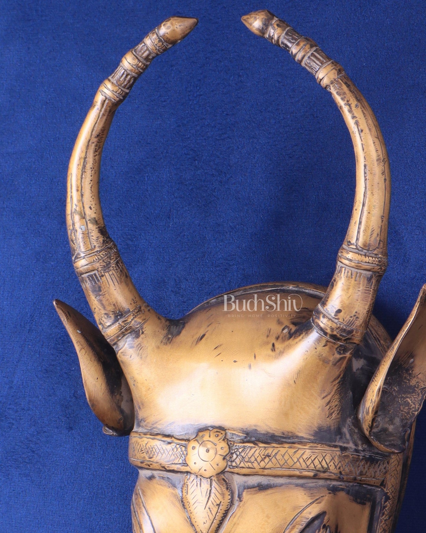 Vintage Brass Cow Head Wall Hanging – Antique Finish 7" - Budhshiv.com