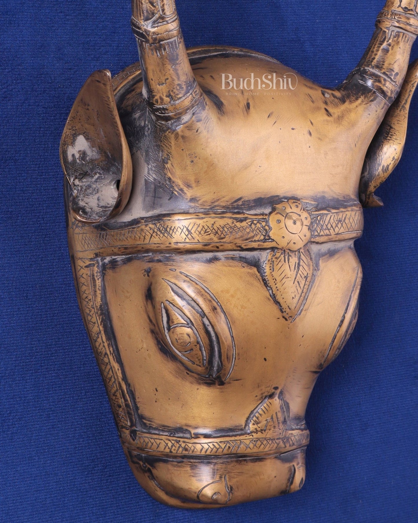 Vintage Brass Cow Head Wall Hanging – Antique Finish 7" - Budhshiv.com