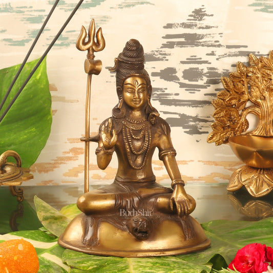 Brass Handcrafted Lord Shiva Statue | Jatadhaari Shiva | 7.5" Height - Budhshiv.com