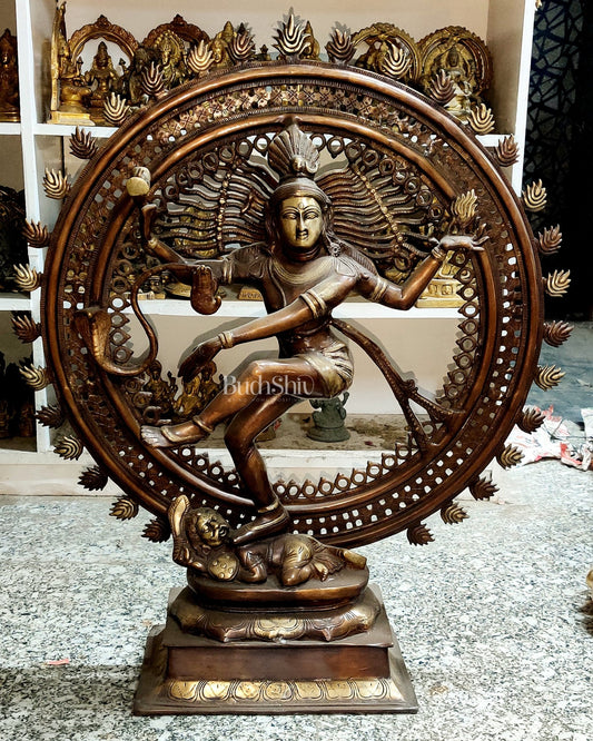 Brass Nataraja Statue - 33 inch - Budhshiv.com