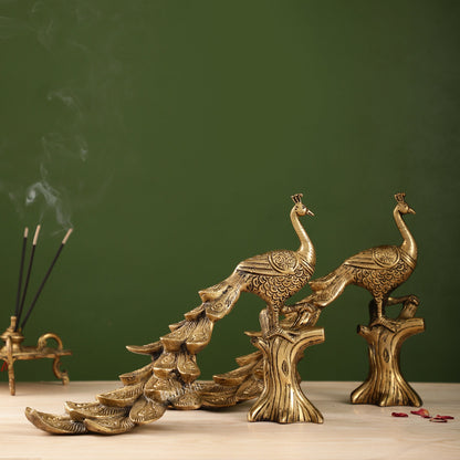 Brass peacock showpiece 12 inch - Budhshiv.com