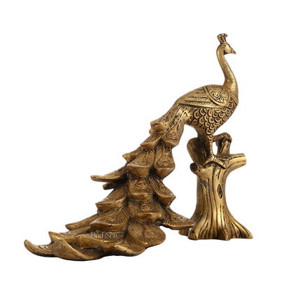 Brass peacock showpiece 12 inch - Budhshiv.com