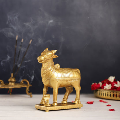 Brass Standing Nandi statue 6" - Budhshiv.com