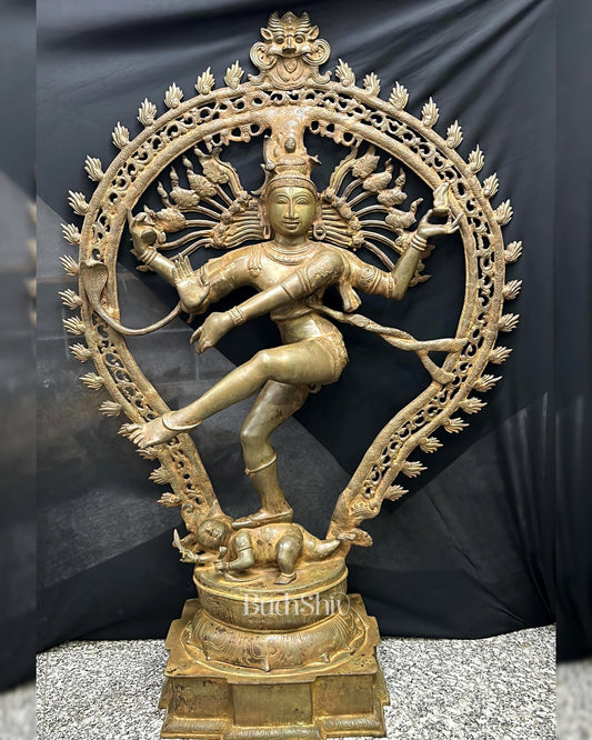 Brass Superfine Handcrafted Nataraja Statue - Bronze Finish - 56 Inch - Budhshiv.com
