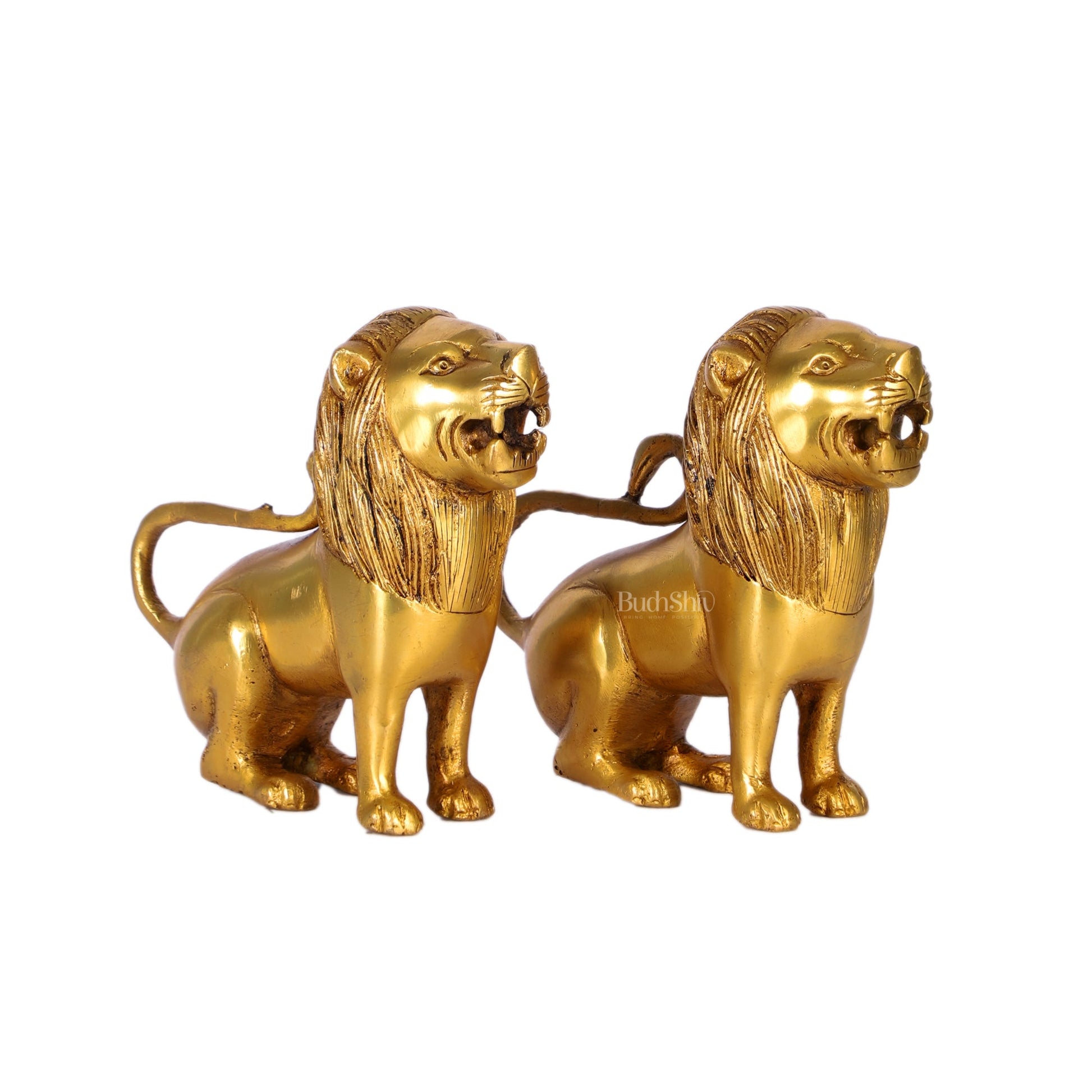 Brass Superfine Lion pair 6" - Budhshiv.com