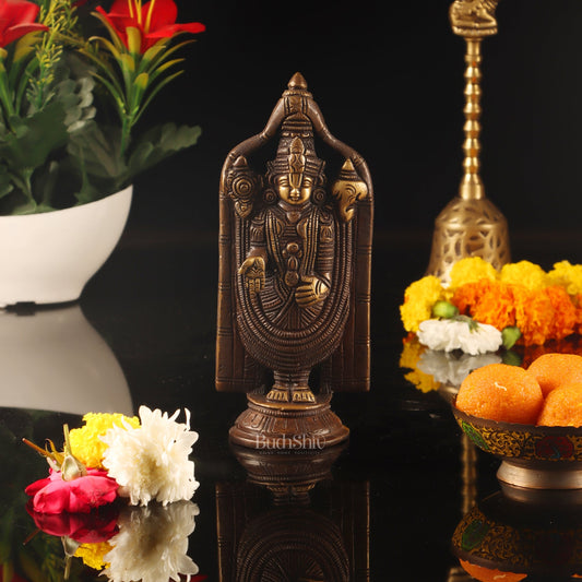 Brass tirupati Balaji statue 8" - Budhshiv.com