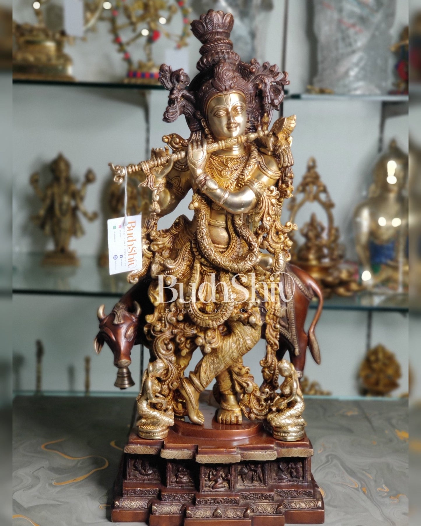 Divine Krishna with cow Brass Idol duel tone 29 inch - Budhshiv.com