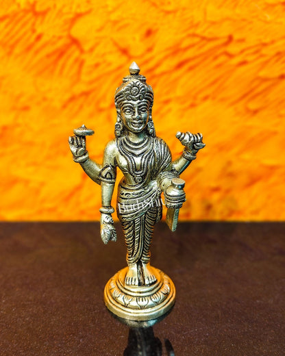 Handcrafted Brass Statue of Lord Dhanvantari, the God of Ayurveda | Fine Craftsmanship 6.5" - Budhshiv.com