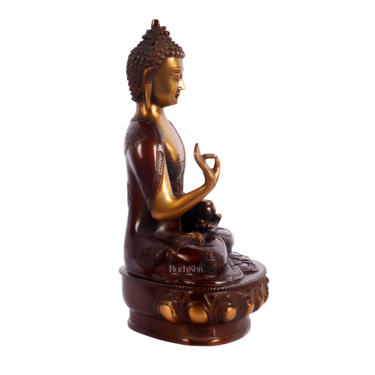 Brass Buddha Statue Vitarka Mudra 12 Inch | Budhshiv.com