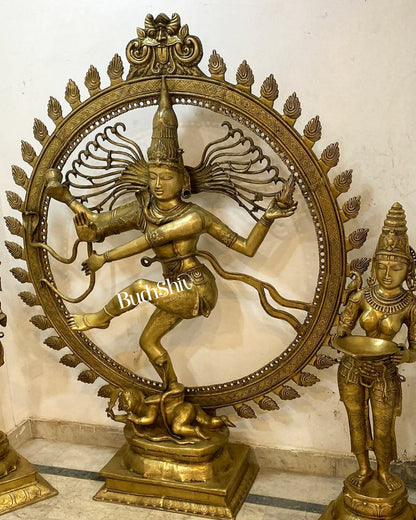 Larger-than-Life Brass Nataraja Statue - 73" Height/ 6 feet - Budhshiv.com