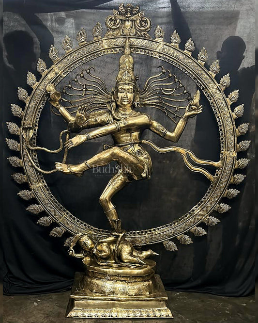 Larger-than-Life Brass Nataraja Statue - 73" Height/ 6 feet - Budhshiv.com