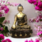 Pure Brass Large Size Buddha Statue - Engraved Life Story 33 inch - Budhshiv.com