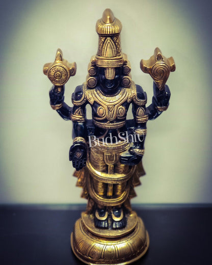 Tirupati Balaji lord Venkateshwara Brass Statue 16 inches black and gold - Budhshiv.com